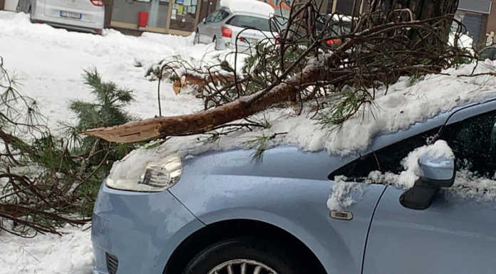 Merate, rami caduti nel parcheggio di viale Verdi: colpita un’auto