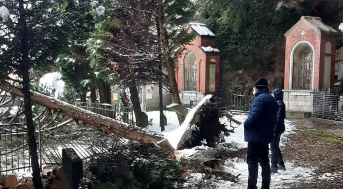 Cimitero di Laorca: alberi caduti sotto il peso della neve già tagliati cimitero di laorca