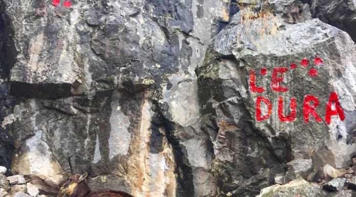 “L’è düra” anche per il camoscio, accovacciato sul sentiero del San Martino