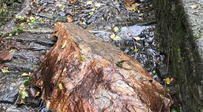 Dervio. Sassi sulla strada per Pianezzo, interverrà una ditta specializzata