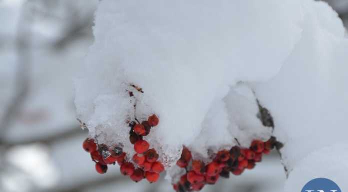 Meteo Lecco. Nuova perturbazione in arrivo, freddo e possibili nevicate