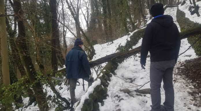 Paderno, volontari al lavoro per rendere di nuovo agibile il sentiero della Rocchetta