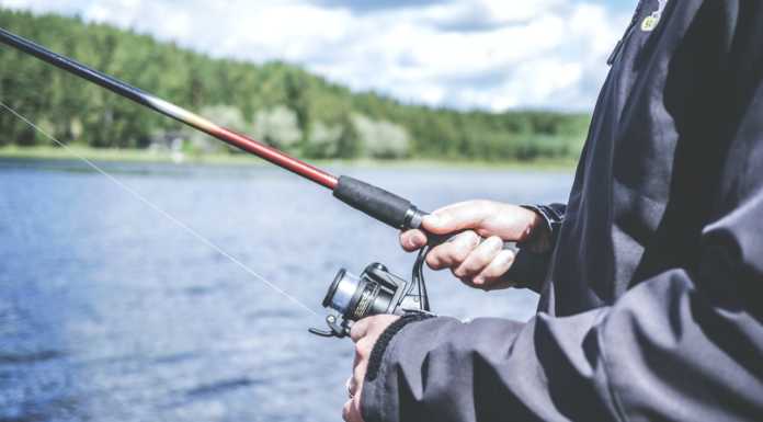 Fipsas, i pescatori immetteranno 700 kg di trote nei torrenti lecchesi