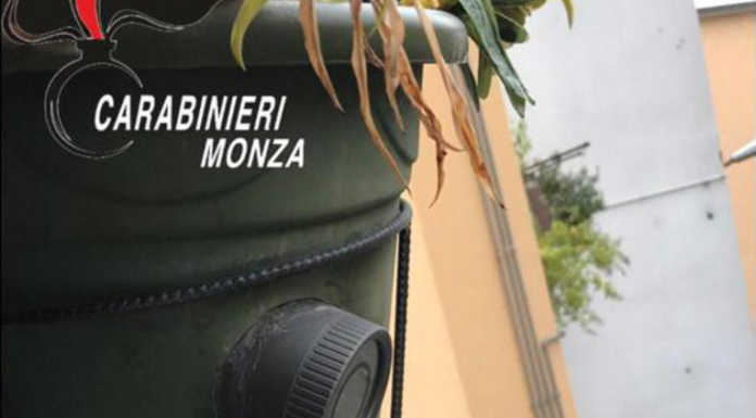 Droga, telecamere nascoste: due arresti a Seregno. Una bomba in cantina