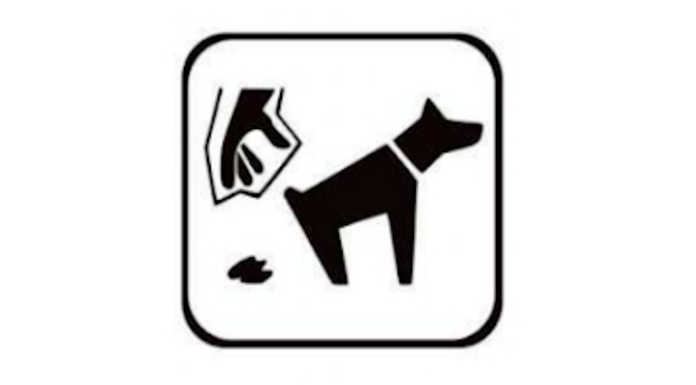 Merate, altre multe per la mancata raccolta della “cacca” dei cani