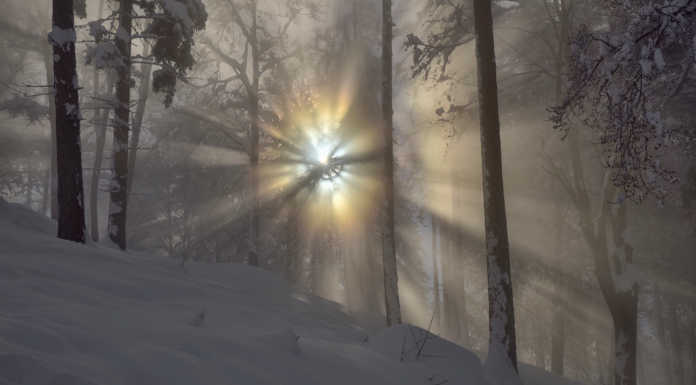 Luci “aliene” al Parco Valentino, in una foto il racconto di Mauro Lanfranchi