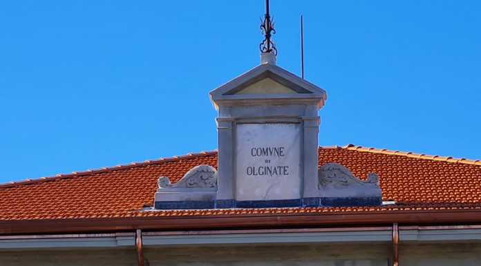 Olginate: “#ComeAlberi”, una mostra che narra di rinascita e crescita