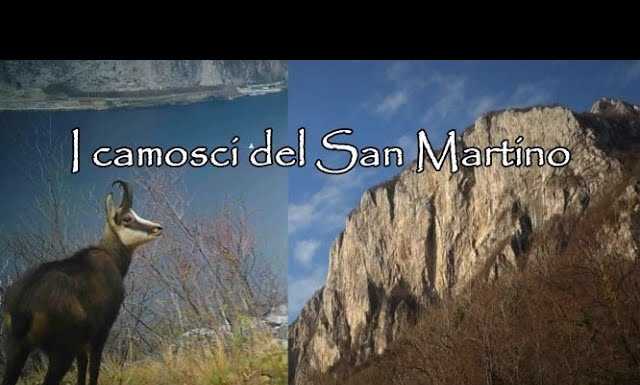 “I camosci del San Martino”, il video del giovane Matteo Panzeri