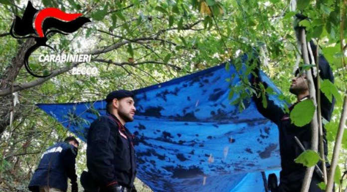 I Carabinieri trovano nei boschi di Rogeno un altro “bivacco della droga” Rogeno zona boschiva carabinieri droga spaccio