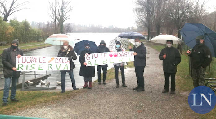 “Giù le mani dagli alberi”: sotto la pioggia il sit in davanti alla riserva di Sartirana Sit in lago di Sartirana