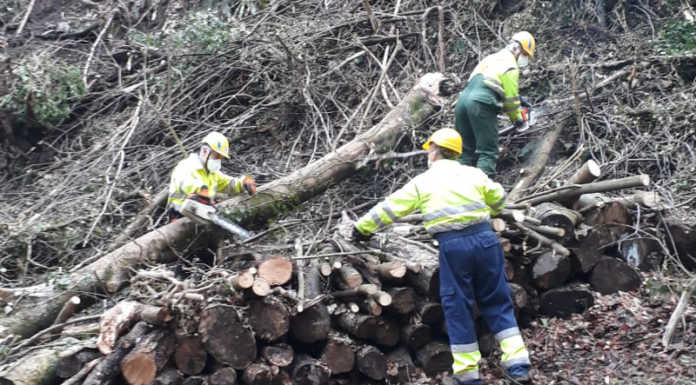 Erve. Fiumi Sicuri: la Protezione Civili al lavoro nella valle del Fracetto