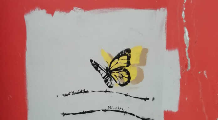 Là dove c’erano svastiche e insulti, ora c’è una farfalla, simbolo della Shoah