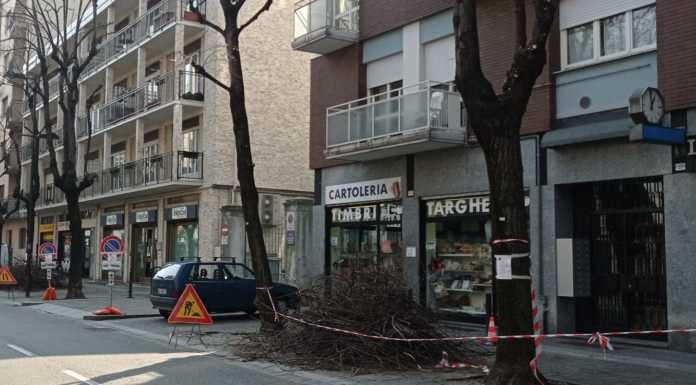 Lecco, quasi terminati gli interventi di potatura del verde in città
