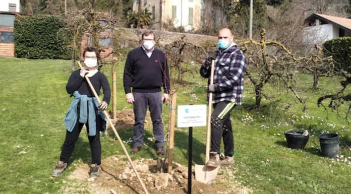 Olgiate, al via alla fattoria Casa dei ragazzi il progetto “Tutti i frutti”