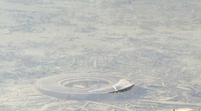 Rifiuti a Pescarenico nelle segnalazioni dei lettori