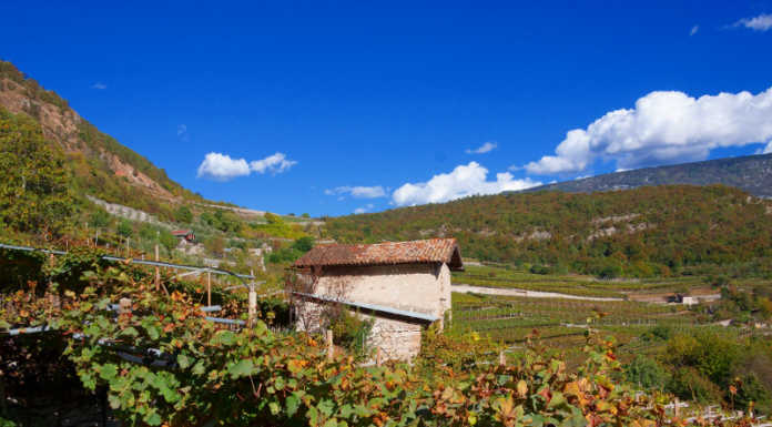 L’Italia nel bicchiere. Alla scoperta dei vini Trento DOC Metodo Classico