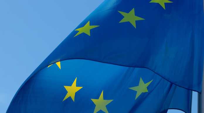 Elezioni Europee. Fratelli d’Italia vince in provincia (33,49%), Partito Democratico al 21,98%