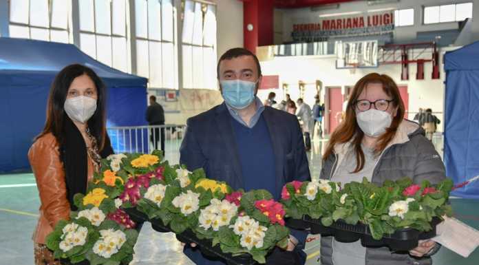 Bellano, una primula agli anziani vaccinati. Anche Andrea Vitali tra i medici