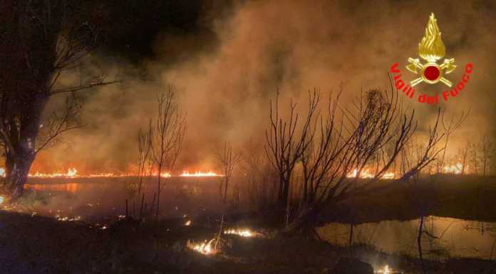 Incendio sul lago ad Annone: in fiamme il canneto, pompieri al lavoro