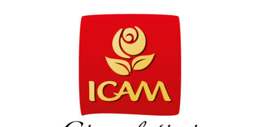 Icam spa è alla ricerca di un Planner Specialist Logo ICAM