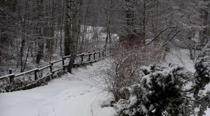 Pioggia, calo delle temperature e neve ai Resinelli, ma domenica il meteo migliora neve piani resinelli