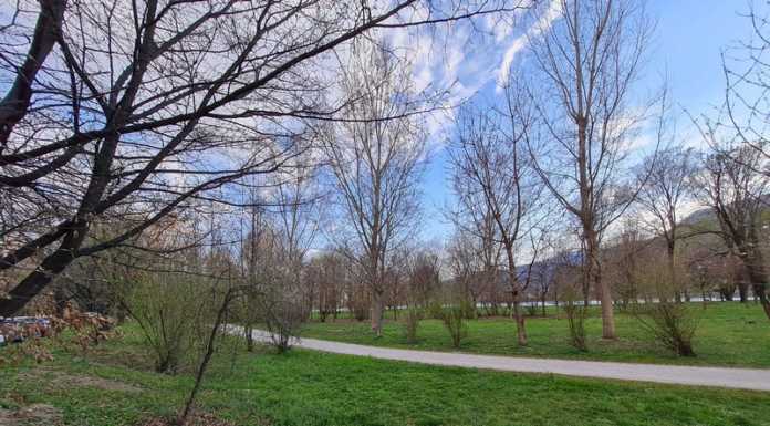 Calolzio. Taglio arbusti, le minoranze presentano una richiesta di sospensiva parco adda viale de gasperi calolzio