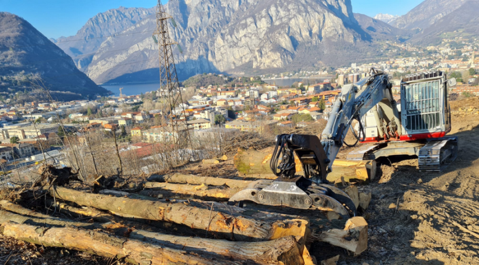 Monte Barro: eliminate le querce rosse, si fa spazio al nuovo bosco