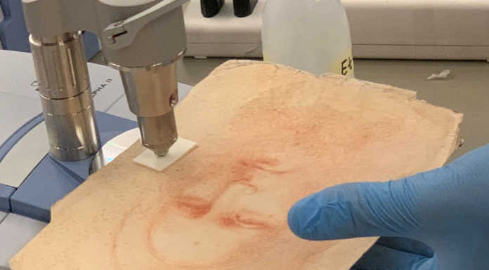 Ritratto di Lecco: anche la storica Vogt-Luerssen ritiene possa essere di Leonardo