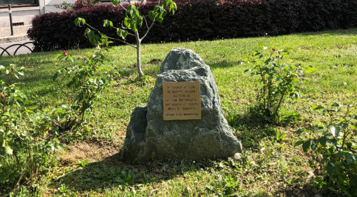 Gruppo Aiuto Mesotelioma: iniziative per la Giornata delle vittime dell’amianto