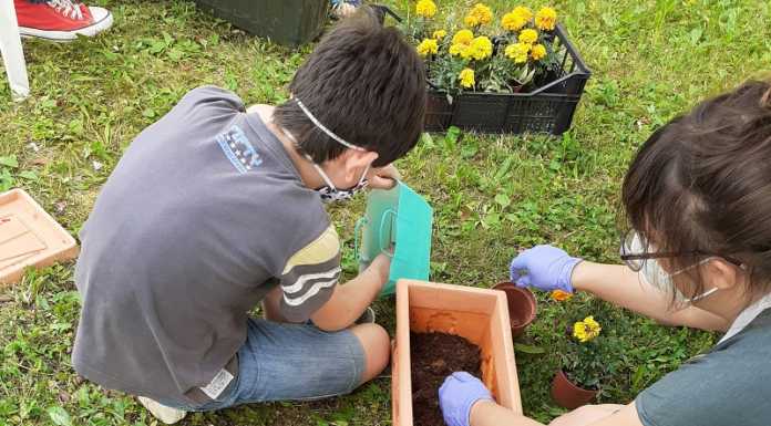 Giornata autismo: la testimonianza di Mara Colnago, psicologa a La Casa di Sophia (Casa dei ragazzi)