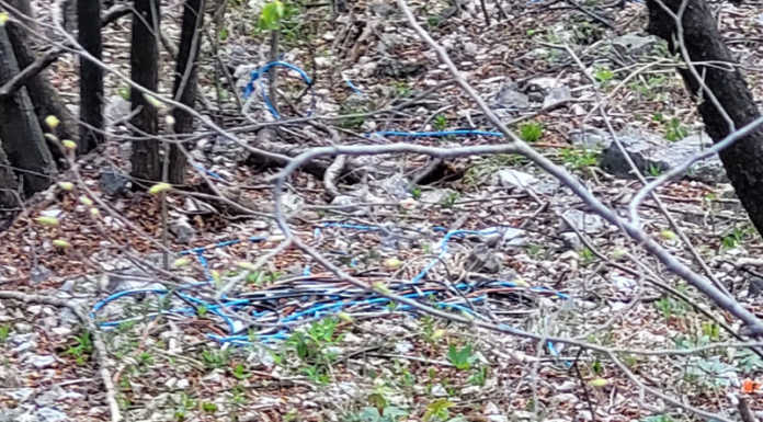 Rifiuti sulla strada per Morterone, ancora materiale elettrico abbandonato nei boschi materiale elettrico rifiuti bosco strada morterone