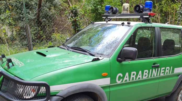 Accorpamento Carabinieri Forestali Como-Lecco, la Lega chiede spiegazioni