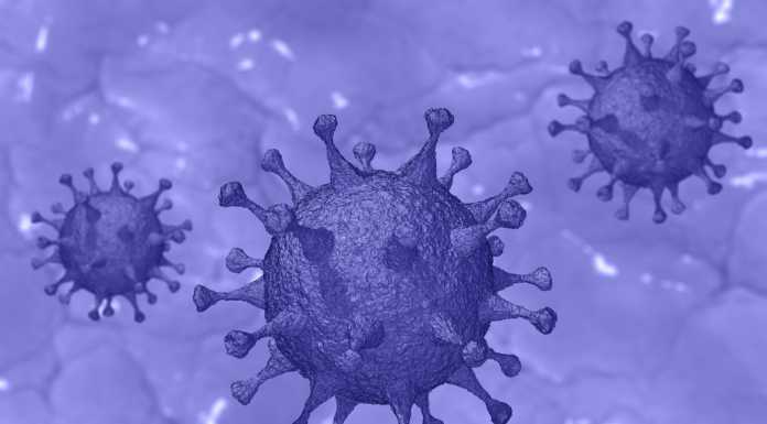 Coronavirus, in Lombardia 2.302 nuovi casi, 58 nel lecchese covid