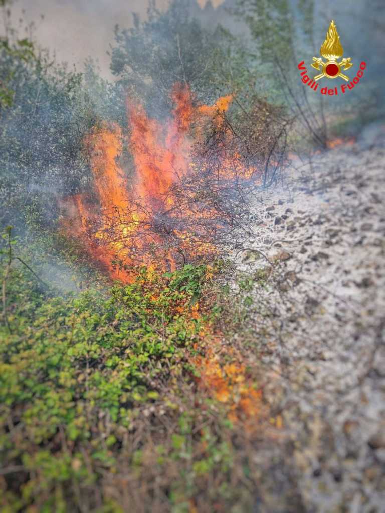 incendio boschivo san martino vigili del fuoco -aprile 2021 (4)