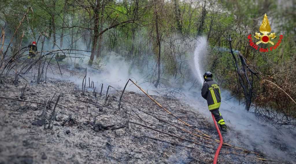 incendio boschivo san martino vigili del fuoco -aprile 2021 (4)