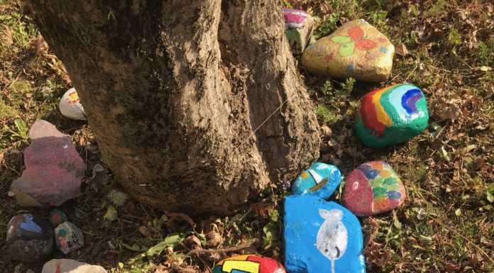 I bimbi delle scuole colorano i sassi per abbellire il parco dell’Airoldi e Muzzi