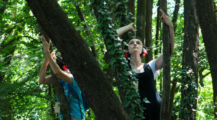 Mandello: il Festival della Letteratura prosegue con Simone Cozzi e Alberi Maestri
