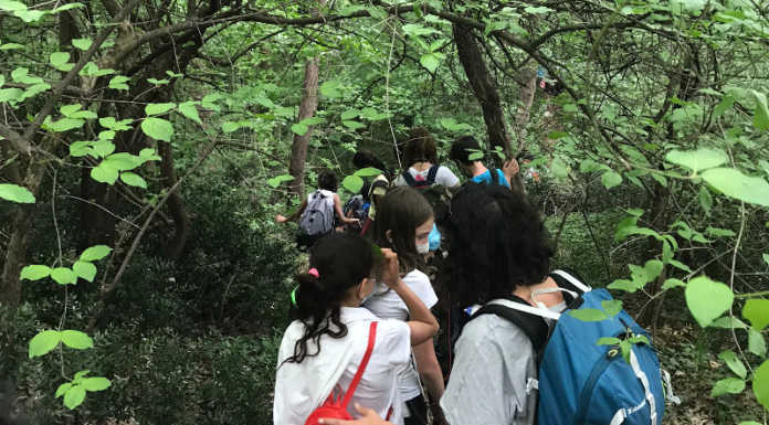 Scuola all’aperto con EsplorAzioni: il progetto a Erve, Airuno e Caprino