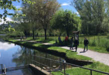 Monitoraggio avifauna riserva di Sartirana, Comitato civico Ambiente: “Rendere pubblici i risultati” Lago di Sartirana