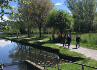 Monitoraggio avifauna riserva di Sartirana, Comitato civico Ambiente: “Rendere pubblici i risultati” Lago di Sartirana