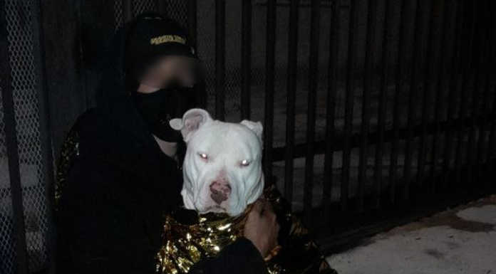 Si perde nella zona del Manavello, un ragazzo e il suo cane riportati a valle Vigili del fuoco soccorso Manavello