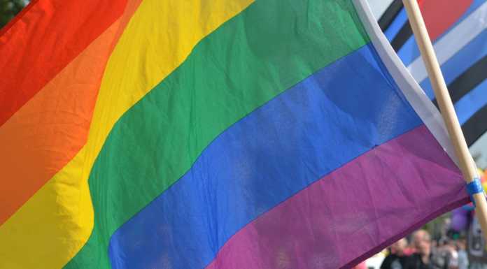 Omofobia. DL Zan, continua il botta e risposta tra Renzo & Lucio e Lega bandiera arcobaleno - gay - diritti - omofobia