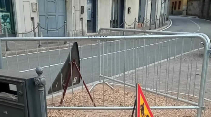 Bellano, albero secolare abbattuto. Legambiente critica: “Meglio curare che tagliare” bellano ippocastano abbattuto