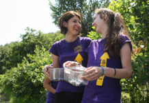 Living Land lancia il bando “Ricerca attiva del lavoro” per i giovani lecchesi