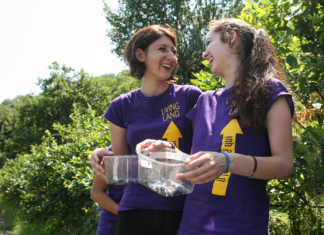 Living Land lancia il bando “Ricerca attiva del lavoro” per i giovani lecchesi