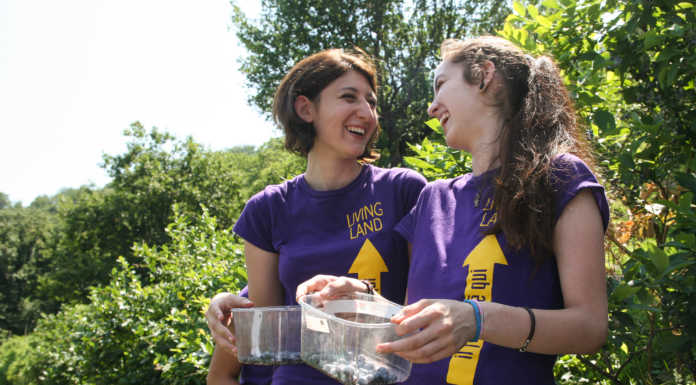 Bosisio Parini. Progetto “Giovani Competenti Junior per la Comunità”