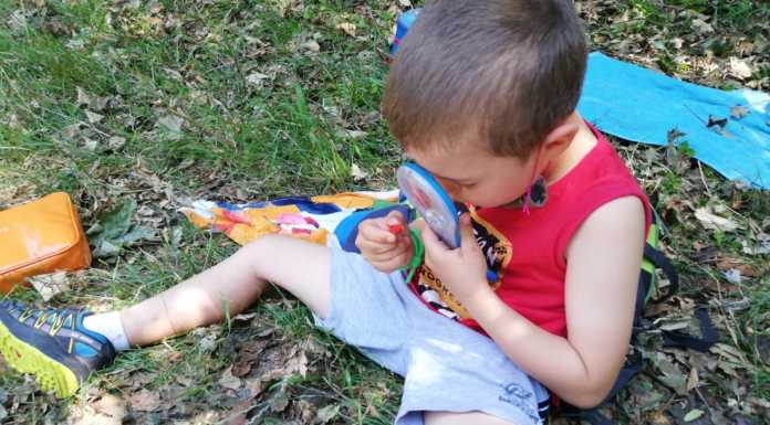 Parco Monte Barro, al via dal 14 giugno i Centri Estivi per bambini centri estivi parco monte barro
