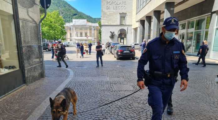 Lecco, controlli della Polizia Locale con i cani anti-droga