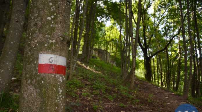 Il Cai Strada Storta in gita a Morterone sul Sentiero dei Grandi Alberi sentiero dei grandi alberi morterone