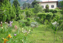 Il giardino che insegna: corsi e percorsi per la comunità a Villa de Ponti villa_de_ponti_calolzio